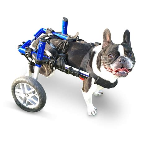 Refurbished Blue Dog Wheelchair - for Small Dogs 11-25 Pounds - Veterinarian Approved - Dog ...