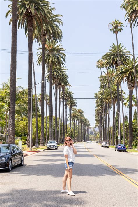 Where to Find the Famous Palm Tree-Lined Street in Beverly Hills ...