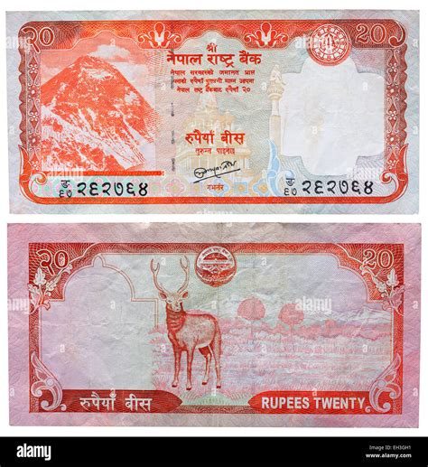 Nepal money note Cut Out Stock Images & Pictures - Alamy