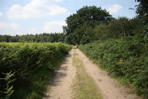 Peddars Way © Hugh Venables :: Geograph Britain and Ireland