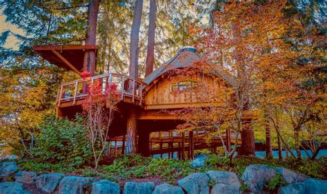 13 Cabin Rentals in Maine: Cozy Log Cabins + Lake Cottages for Rent