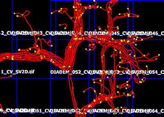 The Cellular Scale: How to Build a Neuron: Step 2