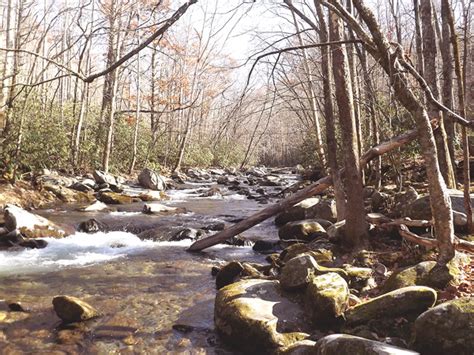 4 Best Hikes in Elkmont in Great Smoky Mountains National Park