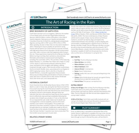 The Art of Racing in the Rain Study Guide | Literature Guide | LitCharts