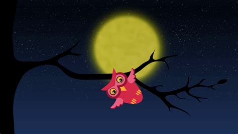 Owl Flying Landing On Tree Branch At Night Stock Motion Graphics SBV ...