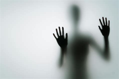 Silhouette of Person with Hands on Glass · Free Stock Photo