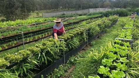 A great example of Water Efficient Farming – Spray-Free Farmacy