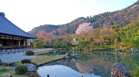 [SALE] Arashiyama, Tenryuji Temple, Ninnaji Temple Kyoto Cherry Blossom Tour - Ticket KD