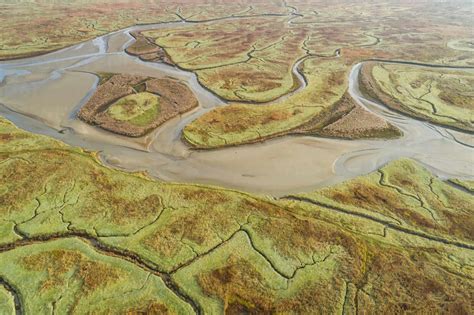 Aerial view of wide wetland ecosystem near the ocean, Netherlands. stock photo