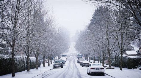 25 photos of Vancouver under a new blanket of snow | News