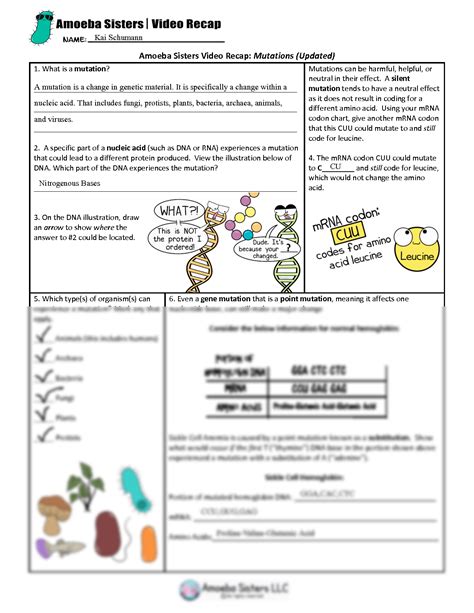 SOLUTION: Amoeba Sisters Mutations Updated Worksheet - Studypool