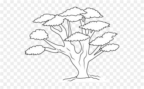 Narra Tree Clipart Black And White