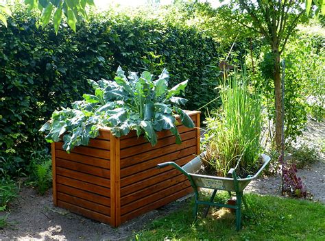 Royalty-Free photo: Green leaf plant on wooden plant box near wheelbarrow | PickPik