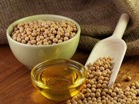 Soybean Oil / Refined Soybean Oil . | tradekorea