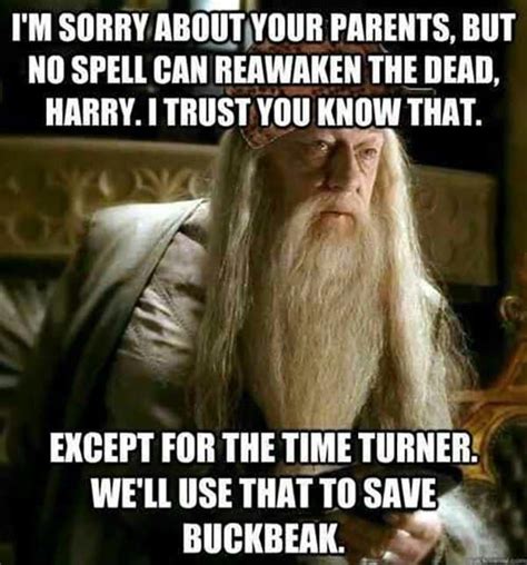 Harry Potter: 10 Hilarious Dumbledore Memes Only True Fans Will Understand