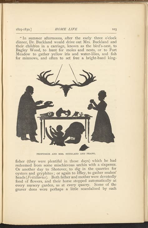 The Life and Correspondence of William Buckland, D.D., F.R.S., Sometimes Dean of Westminster ...