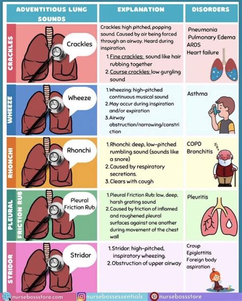 Jana Al-Sulaiman on LinkedIn: The difference in Lung sounds