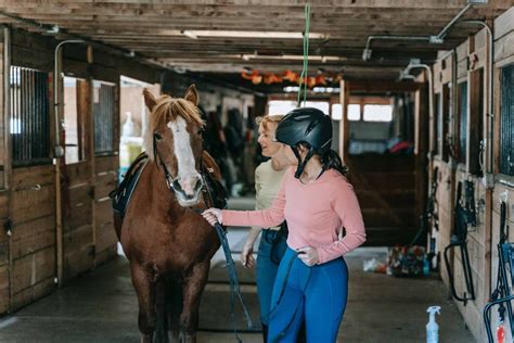 Horse Riding Tips: Best Techniques for Beginners - All About Horses