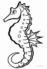 Printable Seahorse Coloring Pages For Kids  Cool2bKids sketch template