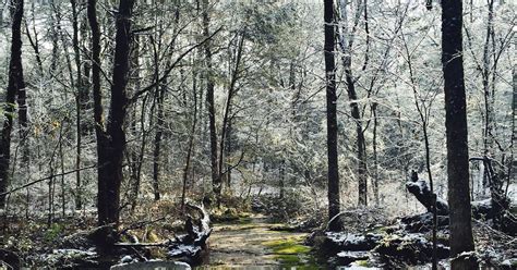 Hike the Hidden Springs Trail, Hidden Springs Trailhead