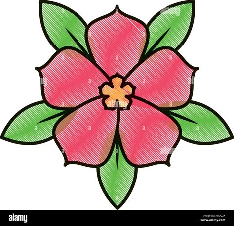 chinese flower sakura leaves foliage Stock Vector Image & Art - Alamy