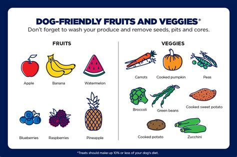 What Fruits Can Dogs Have