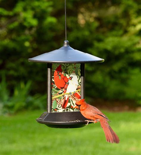 Cardinal Bird Feeders PNG