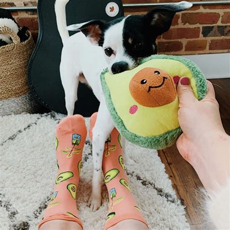 Just Fun Socks – Life's too short to wear boring socks