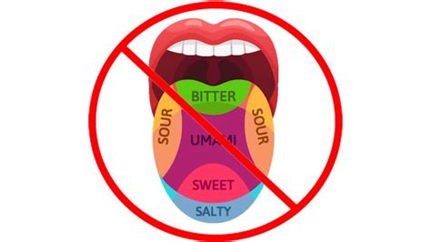 Tongue map | Misconceptions Wiki | Fandom