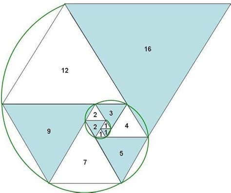 Fibonacci number spiral Fibonacci Art, Fibonacci Number, Fibonacci ...