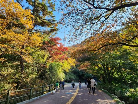 Namsan (with Cable car) – SEOULSHOPPER