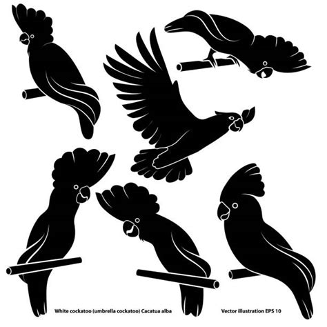 Cockatoo Tattoo Illustrations, Royalty-Free Vector Graphics & Clip Art ...