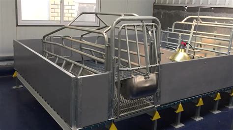 Hog Equipment Used Pig Farrowing Crates For Sale - Buy Farrowing Crate For Sale,Pig Equipment ...