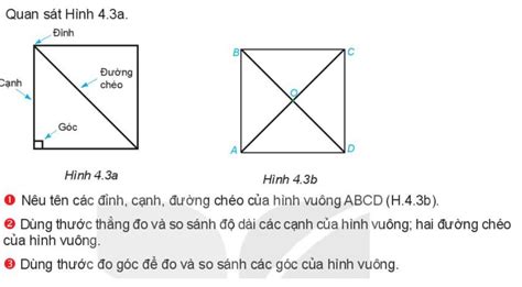 1 Nêu tên các đỉnh, cạnh, đường chéo của hình vuông ABCD (H.4.3b). 2 Dùng thước thằng đo và so ...