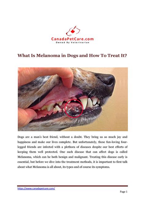 How Is Melanoma In Dogs Treated