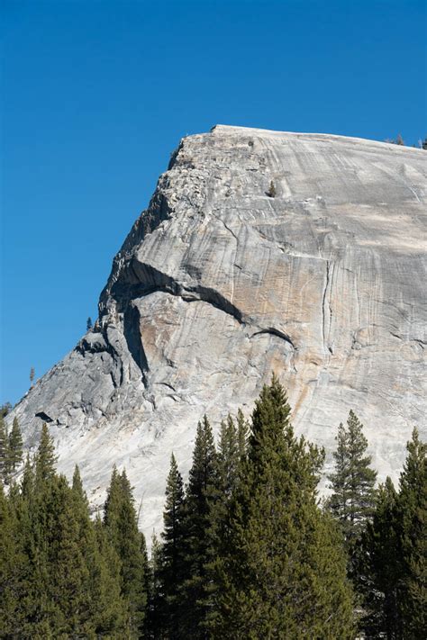 Roche Moutonee (vertical) – Geology Pics