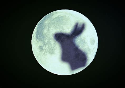 Over the Moon. Chang’e nearly fell, as she abruptly… | by Taylor Holmes ...