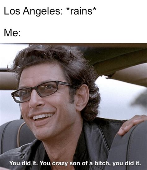 10 Memes That Sum Up Living In L.A. Right Now: Jan. 9