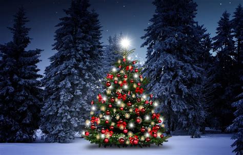 846 Christmas Background Outside - MyWeb