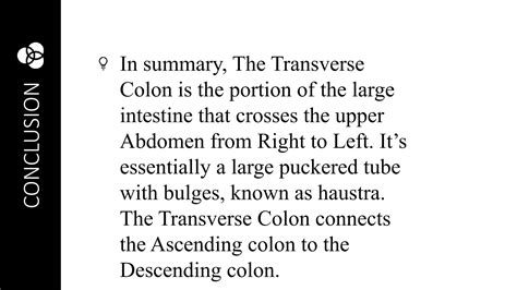 THE TRANSVERSE COLON anatomy bsc nursing | PPT | Free Download