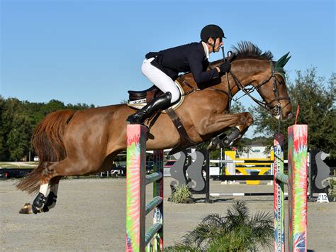 Equine | New York Horse Show Photography | EyeWasHere