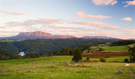 Eat like a local: North West Tasmania - Australian Traveller