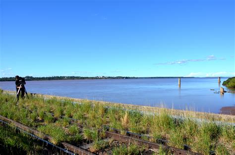 Free download | HD wallpaper: uruguay river, rio, bridge, nature, pond ...