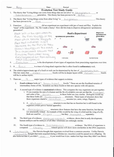 50 Active And Passive Transport Worksheet