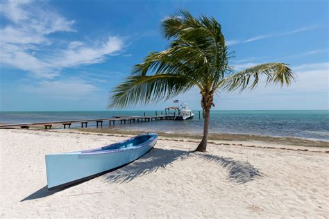 Remarkable Experiences You Can Only Have in Key Largo, Florida Keys