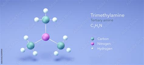 trimethylamine molecule, molecular structures, tertiary amine, 3d model, Structural Chemical ...