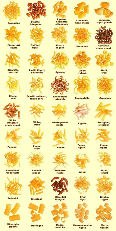 A Wide Variety of Sides | Pasta restaurants, Pasta types, Pasta shapes