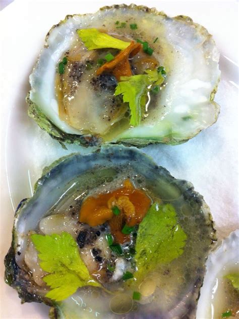 Belon oysters | Oyster recipes, Seafood recipes, Oysters