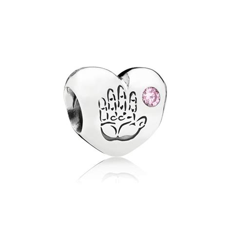 95 best images about Pandora friends & family charms on Pinterest ...