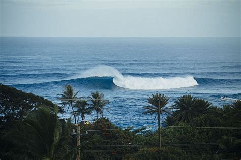 Surfer in his 50s Dies after being Pulled Unresponsive from the Water ...